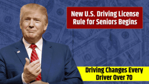 senior-driving-law-2025-early-results