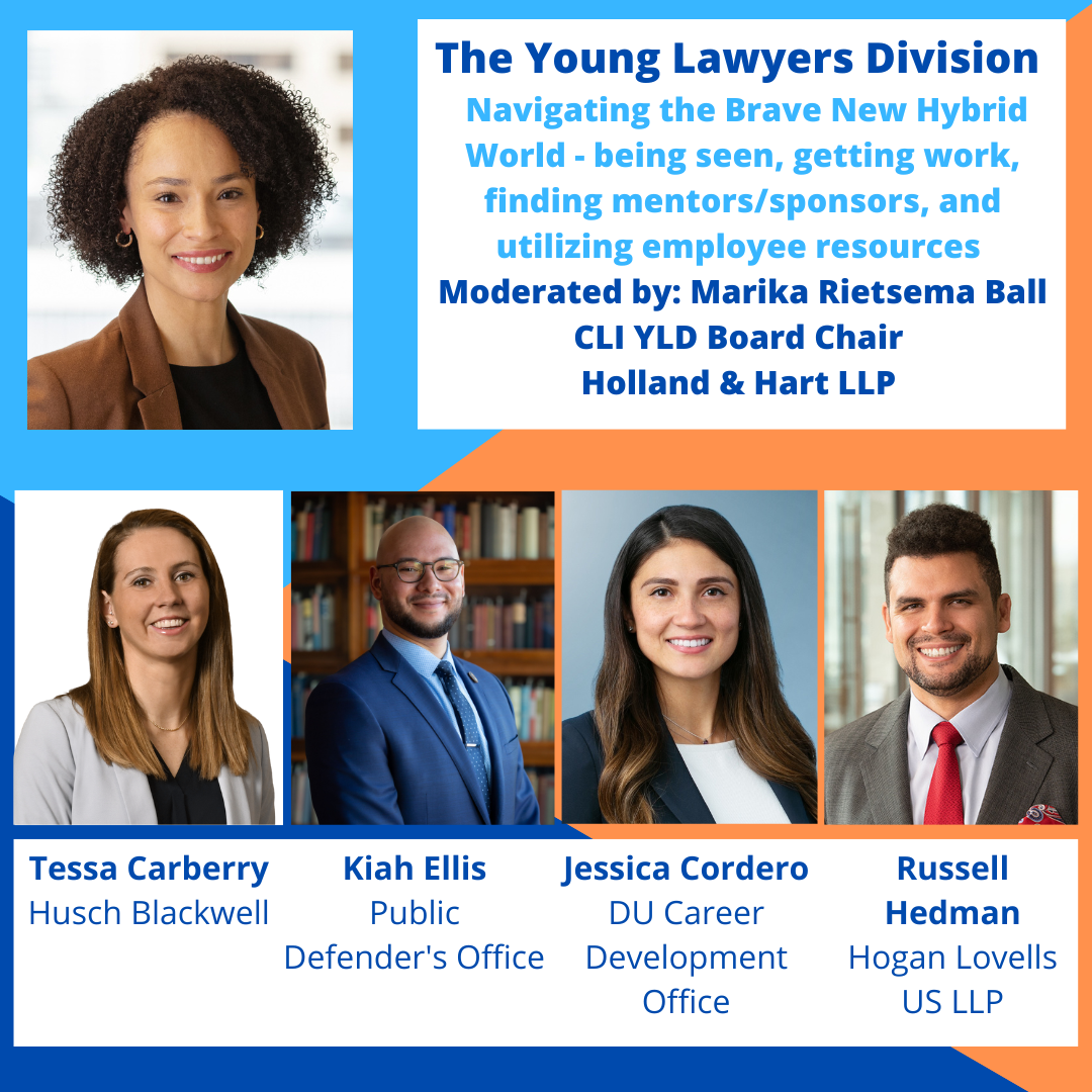 Diversity Summit 2022 – The Young Lawyers Division Perspective
